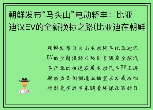 朝鲜发布“马头山”电动轿车：比亚迪汉EV的全新换标之路(比亚迪在朝鲜算豪车吗)