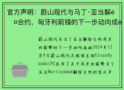 官方声明：蔚山现代与马丁·亚当解除合约，匈牙利前锋的下一步动向成谜
