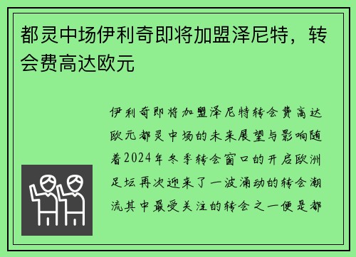 都灵中场伊利奇即将加盟泽尼特，转会费高达欧元