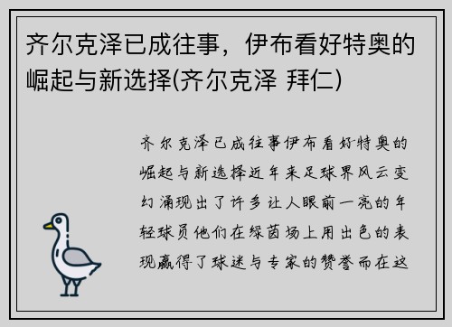 齐尔克泽已成往事，伊布看好特奥的崛起与新选择(齐尔克泽 拜仁)