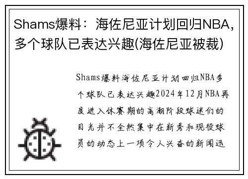 Shams爆料：海佐尼亚计划回归NBA，多个球队已表达兴趣(海佐尼亚被裁)