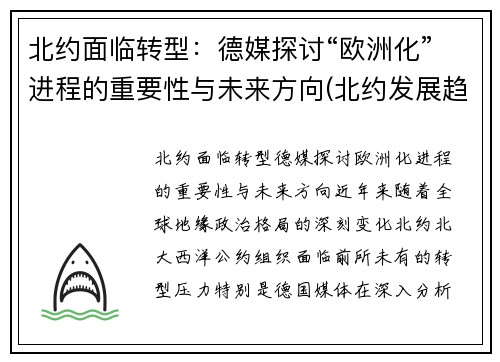 北约面临转型：德媒探讨“欧洲化”进程的重要性与未来方向(北约发展趋势)